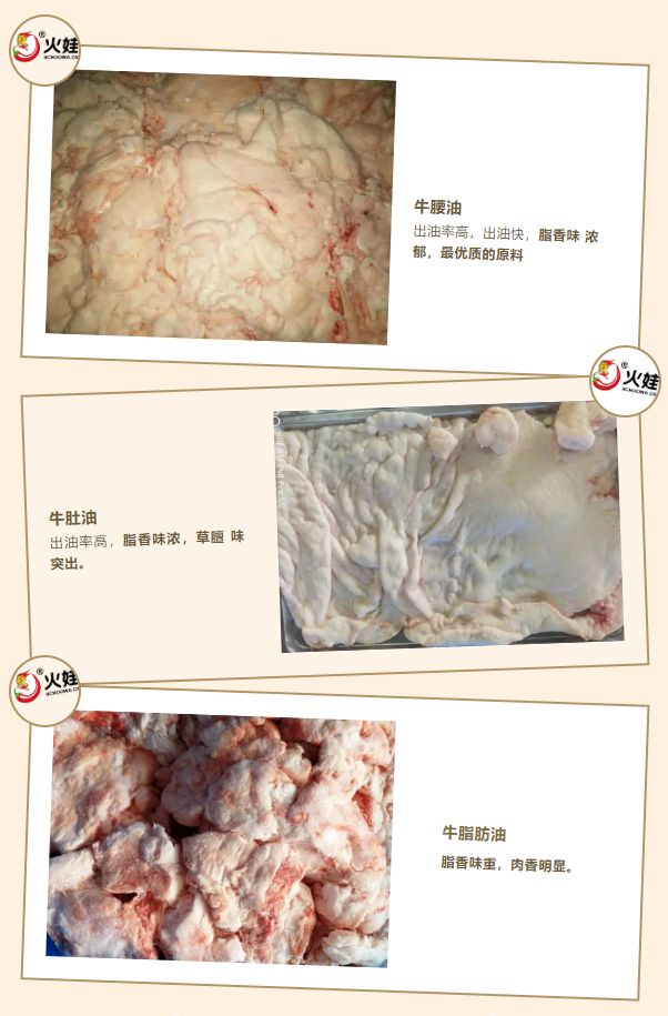 火娃食品：新品上市肽臻火锅底料——肽香、肽鲜、肽巴味(图2)